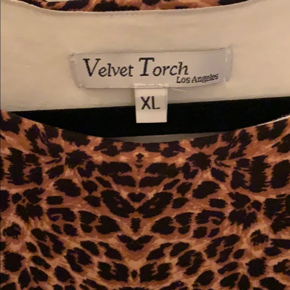 Velvet Torch Leopard dress - Picture 2 of 3